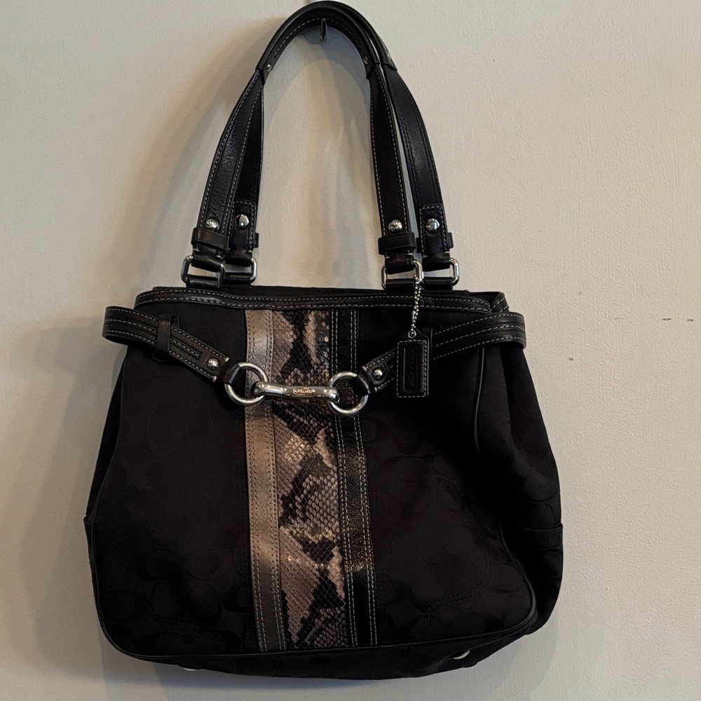 Coach Hampton Signature C Python Stripe Carryall … - image 1